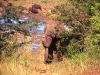 south_africa-74
