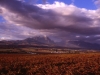 south_africa-88
