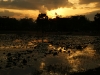 Sunset, Angkor Wat
