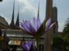 Wat Poh, Bangkok