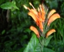 dsc00115