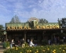 Animal Kingdom Disneyworld Orlando, 35