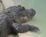 roundtrip_florida-28
