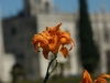 Jerónimos Monastery, Belém