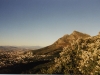 south_africa-10
