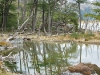 Tierra del Fuego Ushuaia 48