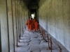 Monks in Angkor Wat