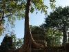 Ta Prohm