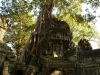 Ta Prohm