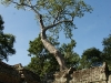 Ta Prohm