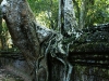 Ta Prohm