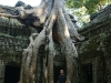 Ta Prohm