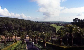 australien_barosa_valley_03