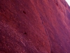 Australia, Uluru, 20