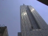 New York and Chicago 19