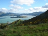 new_zealand_-138