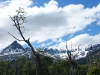 Tierra del Fuego Ushuaia 54